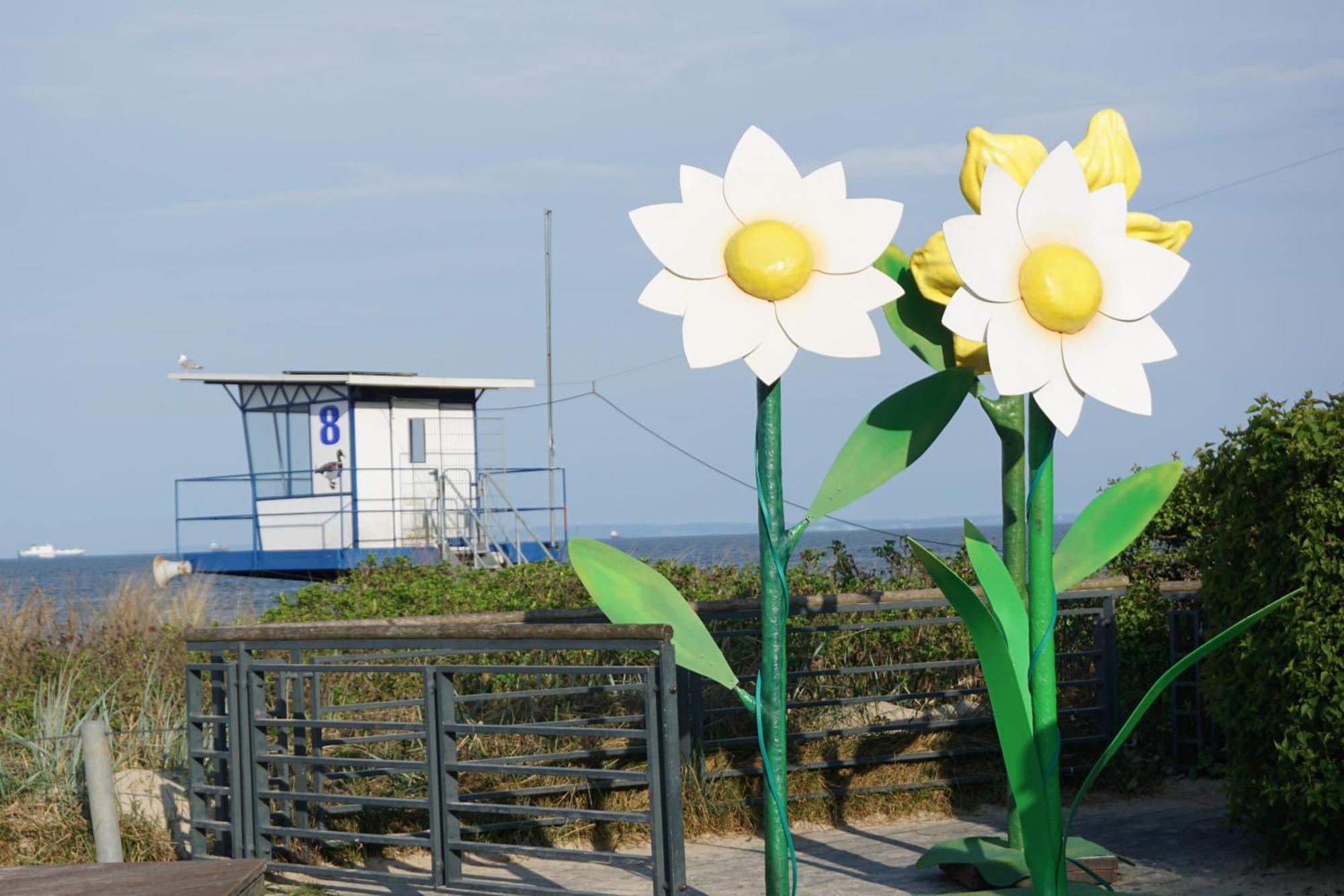 Strandoase - FeWo 21 Heringsdorf (Usedom) Exterior foto